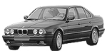 BMW E34 C245E Fault Code